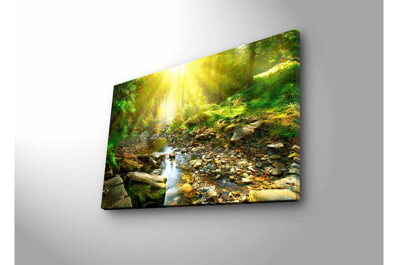 Canvastavla med LED-belysning - Solbelyst skog med en porlande bäck - Grön / Gul / Brun - Inredning - Tavlor & konst - Canvastavlor