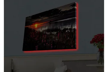 Canvastavla med LED-belysning - Solnedgång över en spegelblanka sjö med blommande växter i förgrunden - Mörkrosa / Orange / Svart - Inredning - Tavlor & konst - Canvastavlor