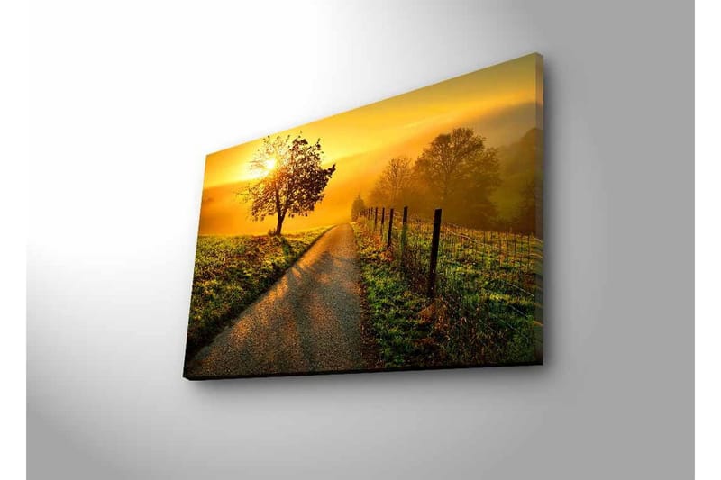 Canvastavla med LED-belysning - Soluppgång över en slingrande väg med träd och gärdesgård - Guld / Grön / Brun - Inredning - Tavlor & konst - Canvastavlor