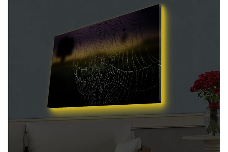 Canvastavla med LED-belysning - Spindelnät med daggdroppar i mjukt ljus, Svart / Grå / Guld