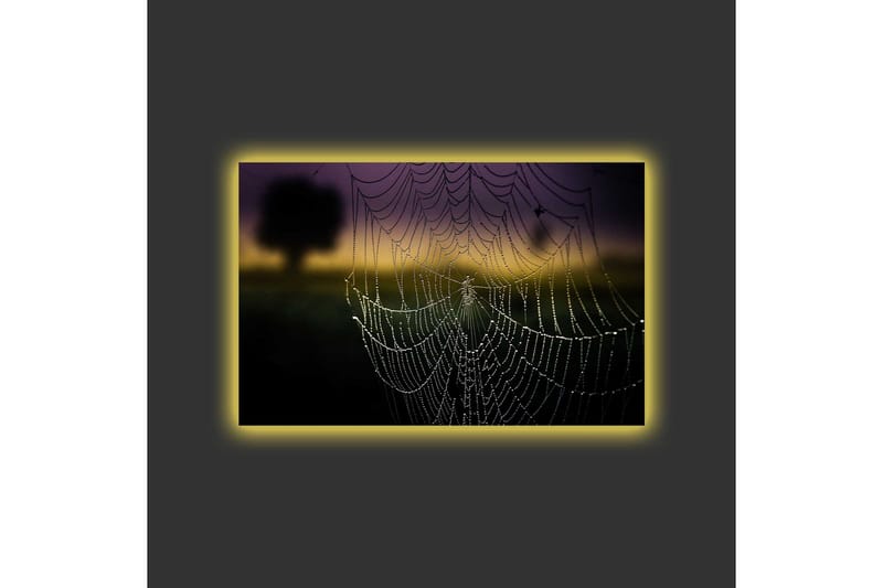 Canvastavla med LED-belysning - Spindelnät med daggdroppar i mjukt ljus - Svart / Grå / Guld - Inredning - Tavlor & konst - Canvastavlor