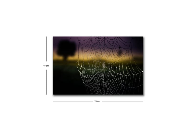 Canvastavla med LED-belysning - Spindelnät med daggdroppar i mjukt ljus - Svart / Grå / Guld - Inredning - Tavlor & konst - Canvastavlor