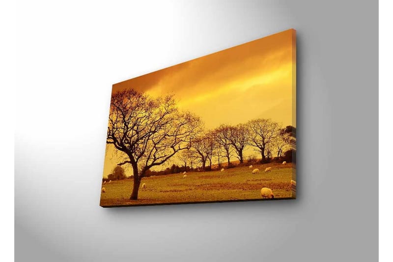 Canvastavla med LED-belysning - Stämningsfull landskapsvy med siluetter av träd mot en gyllene himmel - Guld / Brun / Svart - Inredning - Tavlor & konst - Canvastavlor