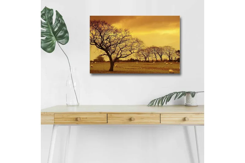 Canvastavla med LED-belysning - Stämningsfull landskapsvy med siluetter av träd mot en gyllene himmel, Guld / Brun / Svart