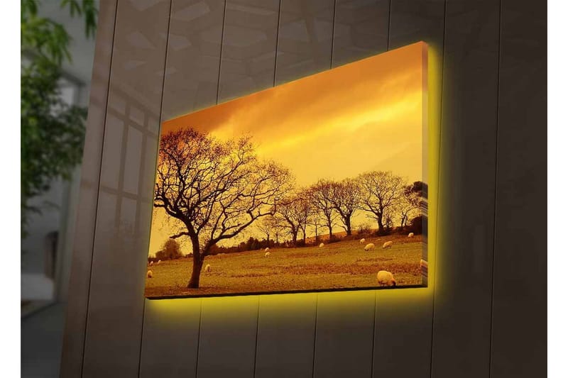 Canvastavla med LED-belysning - Stämningsfull landskapsvy med siluetter av träd mot en gyllene himmel - Guld / Brun / Svart - Inredning - Tavlor & konst - Canvastavlor