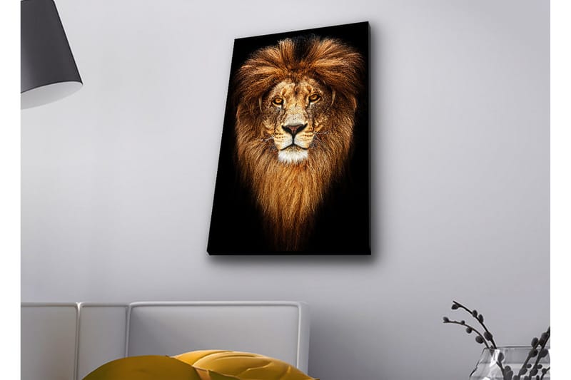 Canvastavla med LED-belysning - Ståtlig lejonhuvud med majestätisk man - Guld / Svart / Brun - Inredning - Tavlor & konst - Canvastavlor