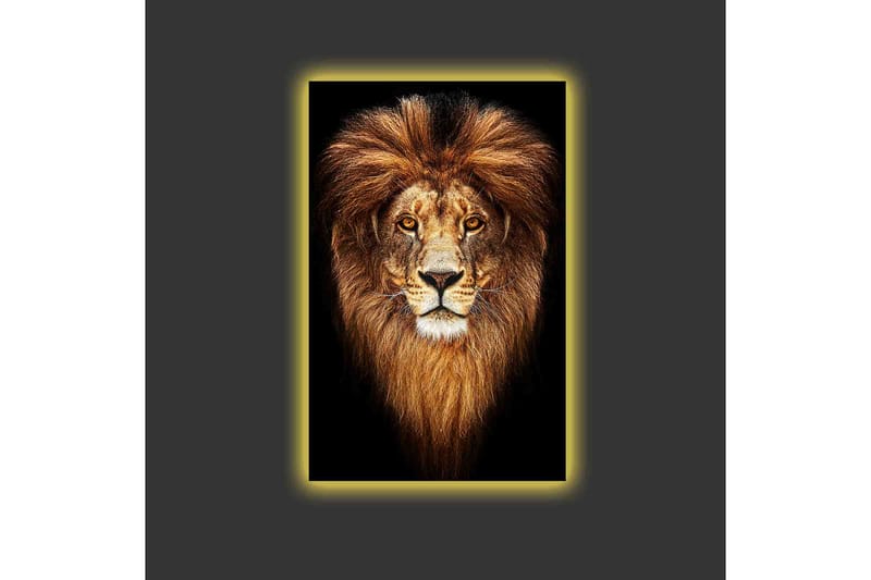 Canvastavla med LED-belysning - Ståtlig lejonhuvud med majestätisk man - Guld / Svart / Brun - Inredning - Tavlor & konst - Canvastavlor