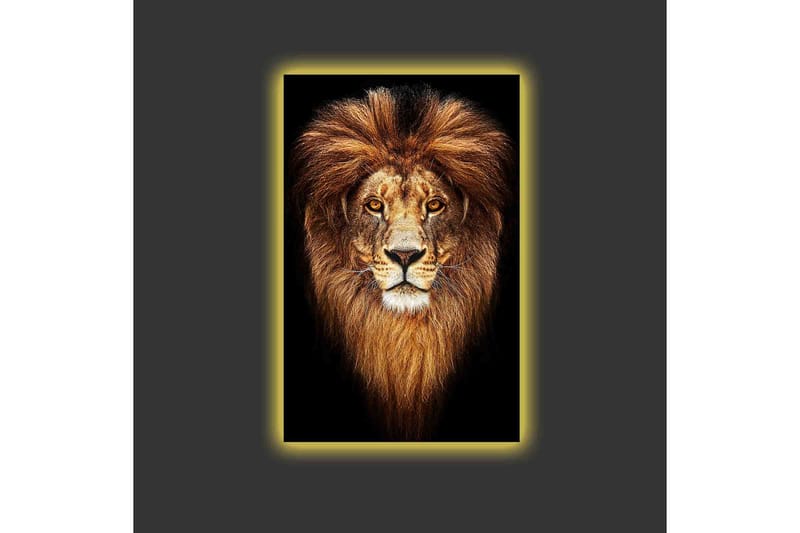 Canvastavla med LED-belysning - Ståtlig lejonhuvud med majestätisk man - Guld / Svart / Brun - Inredning - Tavlor & konst - Canvastavlor