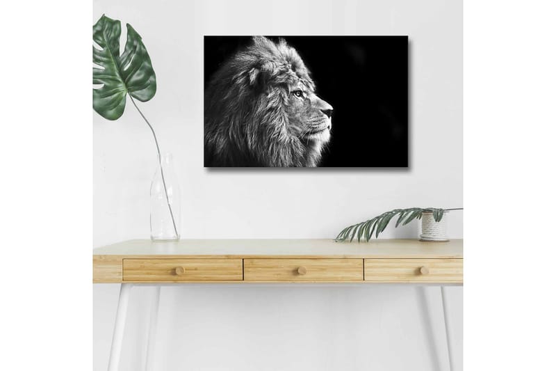 Canvastavla med LED-belysning - Ståtlig lejonprofil i svartvitt, Svart / Grå