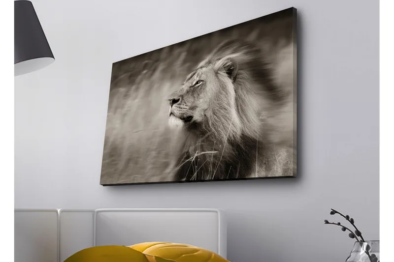 Canvastavla med LED-belysning - Ståtlig lejonprofil i svartvitt - Svart / Grå - Inredning - Tavlor & konst - Canvastavlor