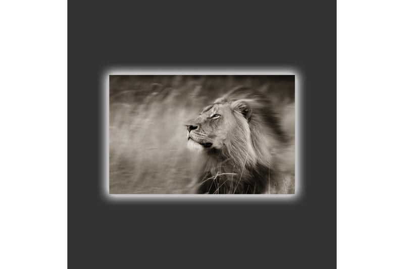 Canvastavla med LED-belysning - Ståtlig lejonprofil i svartvitt - Svart / Grå - Inredning - Tavlor & konst - Canvastavlor