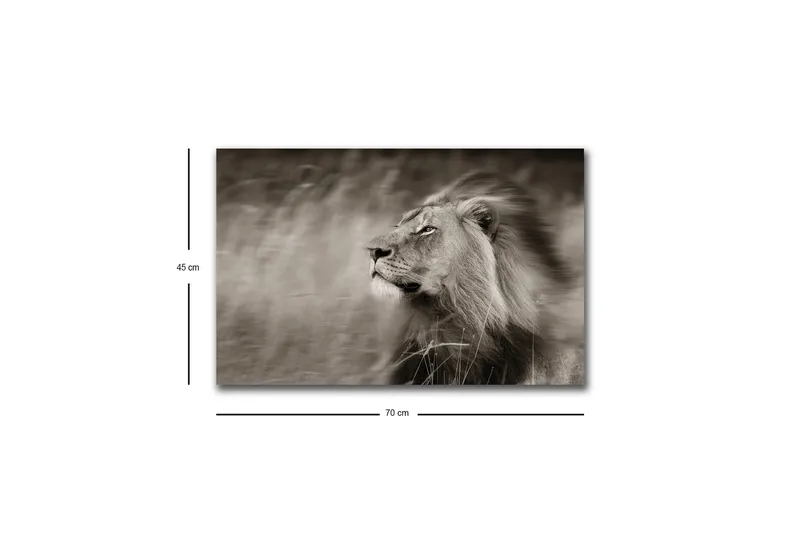 Canvastavla med LED-belysning - Ståtlig lejonprofil i svartvitt - Svart / Grå - Inredning - Tavlor & konst - Canvastavlor