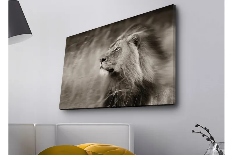 Canvastavla med LED-belysning - Ståtlig lejonprofil i svartvitt - Svart / Grå - Inredning - Tavlor & konst - Canvastavlor