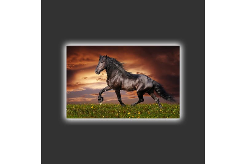Canvastavla med LED-belysning - Stolt svart häst som galopperar över en grön äng - Svart / Grön / Orange - Inredning - Tavlor & konst - Canvastavlor