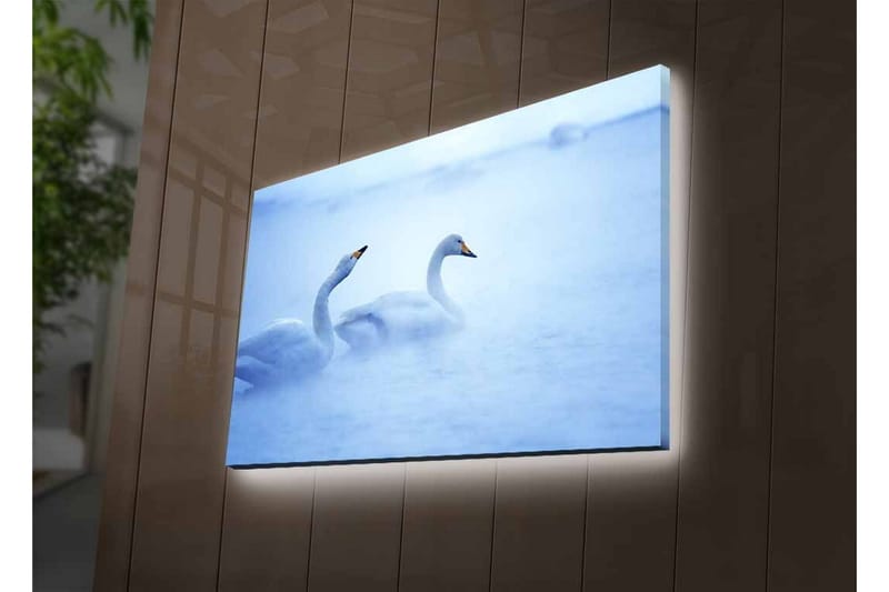 Canvastavla med LED-belysning - Svansar simmande i dimmig vattenmiljö - Ljusblå / Vit - Inredning - Tavlor & konst - Canvastavlor