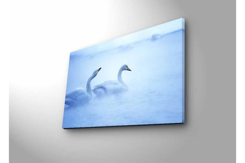 Canvastavla med LED-belysning - Svansar simmande i dimmig vattenmiljö - Ljusblå / Vit - Inredning - Tavlor & konst - Canvastavlor