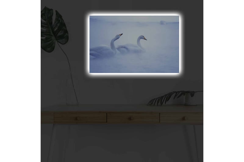 Canvastavla med LED-belysning - Svansar simmande i dimmig vattenmiljö - Ljusblå / Vit - Inredning - Tavlor & konst - Canvastavlor