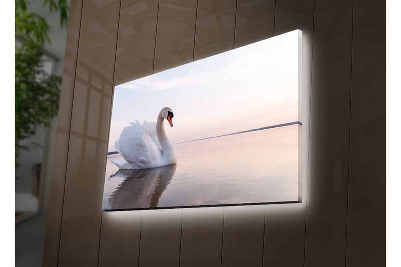 Canvastavla med LED-belysning - Svart svan som simmar i stilla vatten - Vit / Grå / Ljusblå - Inredning - Tavlor & konst - Canvastavlor