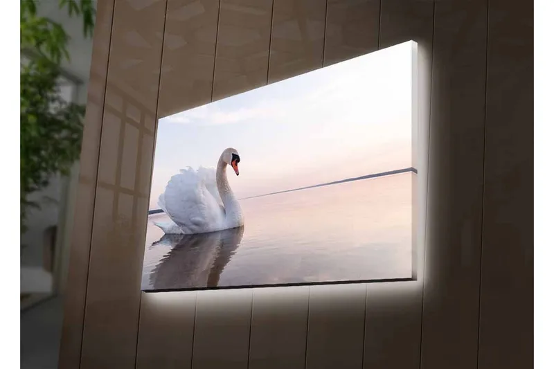 Canvastavla med LED-belysning - Svart svan som simmar i stilla vatten - Vit / Grå / Ljusblå - Inredning - Tavlor & konst - Canvastavlor