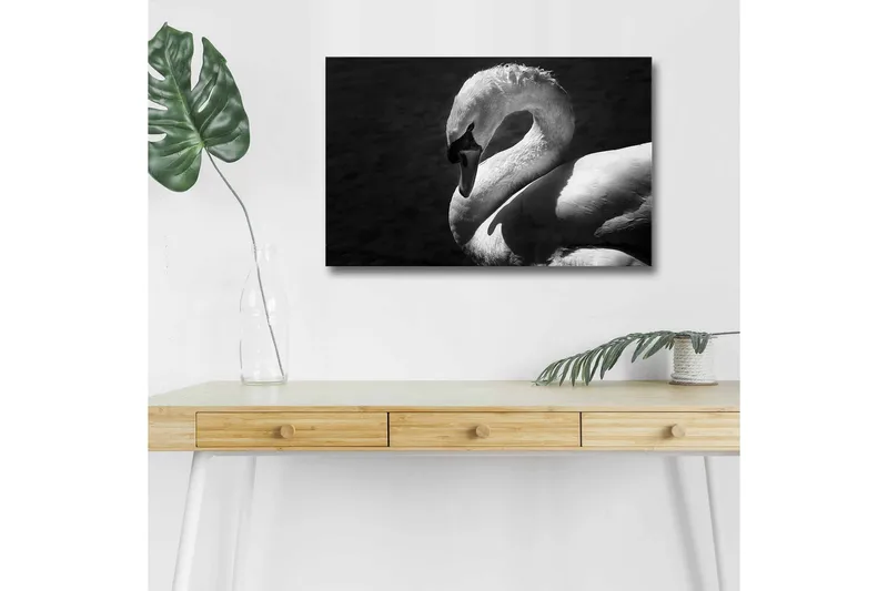 Canvastavla med LED-belysning - Svartvit svan i elegant pose - Svart / Vit - Inredning - Tavlor & konst - Canvastavlor