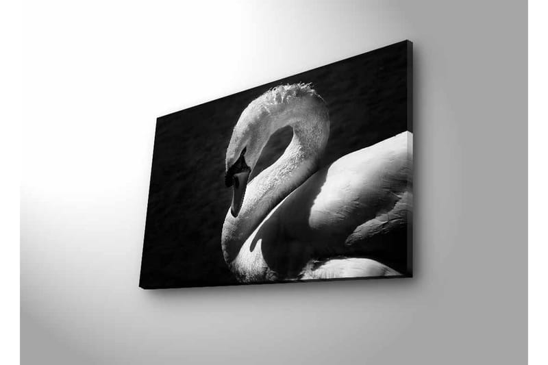 Canvastavla med LED-belysning - Svartvit svan i elegant pose - Svart / Vit - Inredning - Tavlor & konst - Canvastavlor