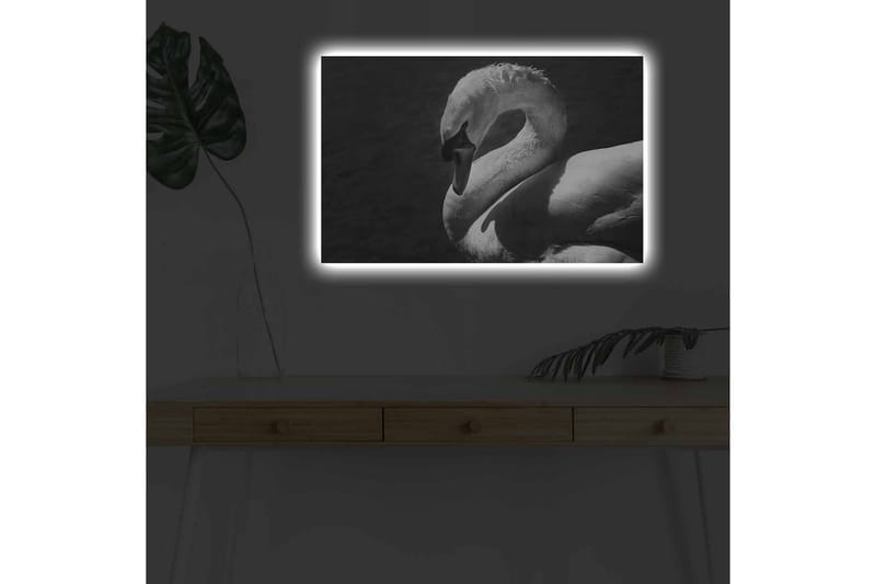 Canvastavla med LED-belysning - Svartvit svan i elegant pose - Svart / Vit - Inredning - Tavlor & konst - Canvastavlor