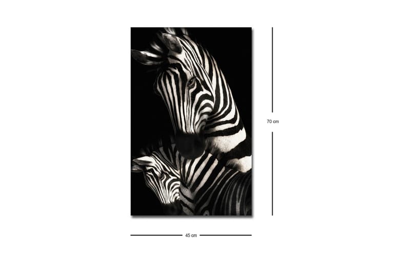 Canvastavla med LED-belysning - Svartvita zebror med distinkta ränder - Svart / Vit - Inredning - Tavlor & konst - Canvastavlor