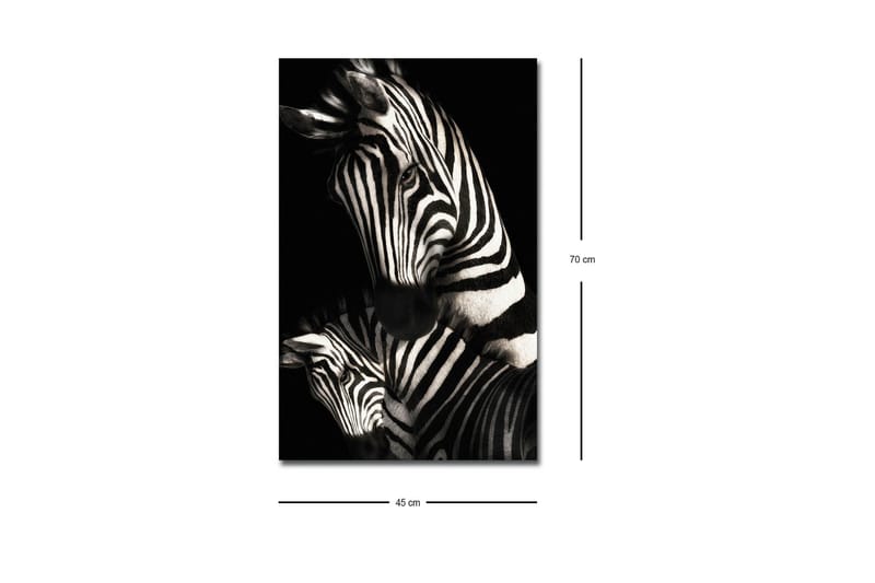 Canvastavla med LED-belysning - Svartvita zebror med distinkta ränder - Svart / Vit - Inredning - Tavlor & konst - Canvastavlor