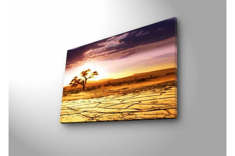 Canvastavla med LED-belysning - Torkad landskap med en ensam akaciaträd vid solnedgången - Guld / Lila / Orange - Inredning - Tavlor & konst - Canvastavlor