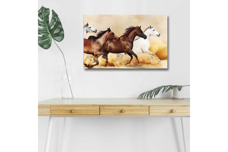 Canvastavla med LED-belysning - Tre hästar i rörelse över en sandig yta - Brun / Vit / Beige - Inredning - Tavlor & konst - Canvastavlor