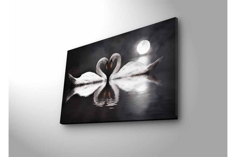 Canvastavla med LED-belysning - Två svanar som formar ett hjärta i en spegelblanka sjö under en måne - Vit / Svart / Grå - Inredning - Tavlor & konst - Canvastavlor