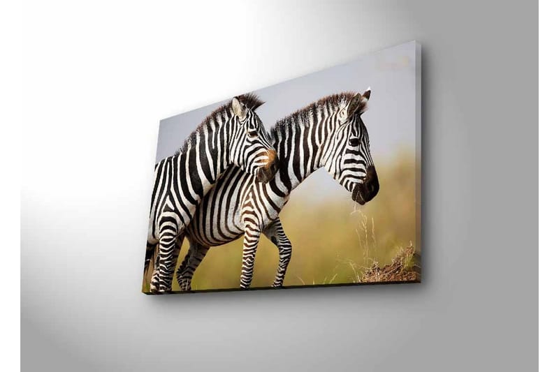 Canvastavla med LED-belysning - Två zebror som står nära varandra i en naturlig miljö - Svart / Vit / Beige - Inredning - Tavlor & konst - Canvastavlor
