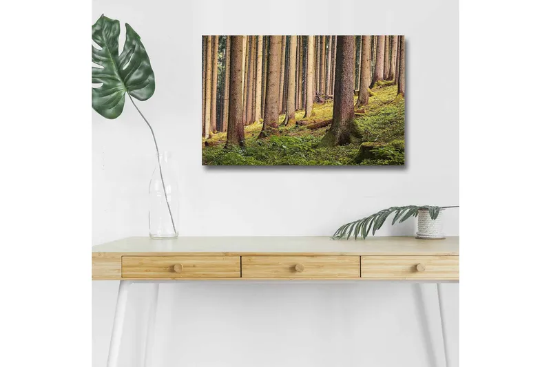 Canvastavla med LED-belysning - Tyst skog med höga träd och frodig grönska, Grön / Brun / Beige