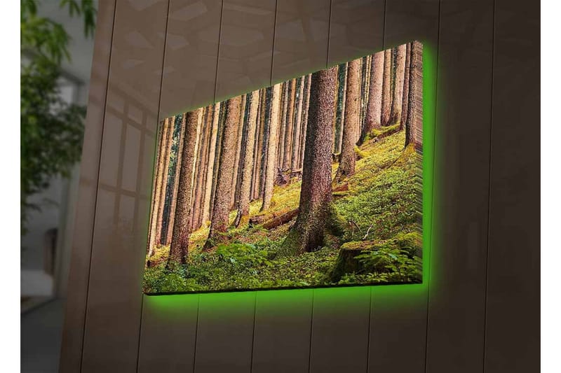 Canvastavla med LED-belysning - Tyst skog med höga träd och frodig grönska - Grön / Brun / Beige - Inredning - Tavlor & konst - Canvastavlor