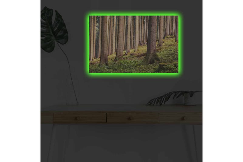 Canvastavla med LED-belysning - Tyst skog med höga träd och frodig grönska - Grön / Brun / Beige - Inredning - Tavlor & konst - Canvastavlor