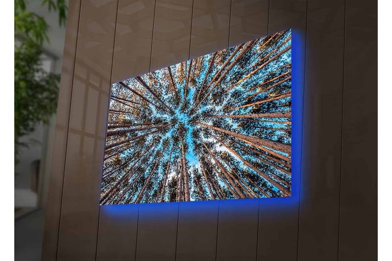 Canvastavla med LED-belysning - Utsikt uppåt genom trädtoppar i en skog - Blå / Brun / Grön - Inredning - Tavlor & konst - Canvastavlor