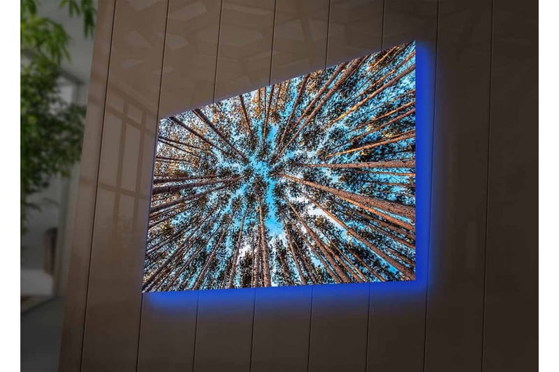 Canvastavla med LED-belysning - Utsikt uppåt genom trädtoppar i en skog - Blå / Brun / Grön - Inredning - Tavlor & konst - Canvastavlor