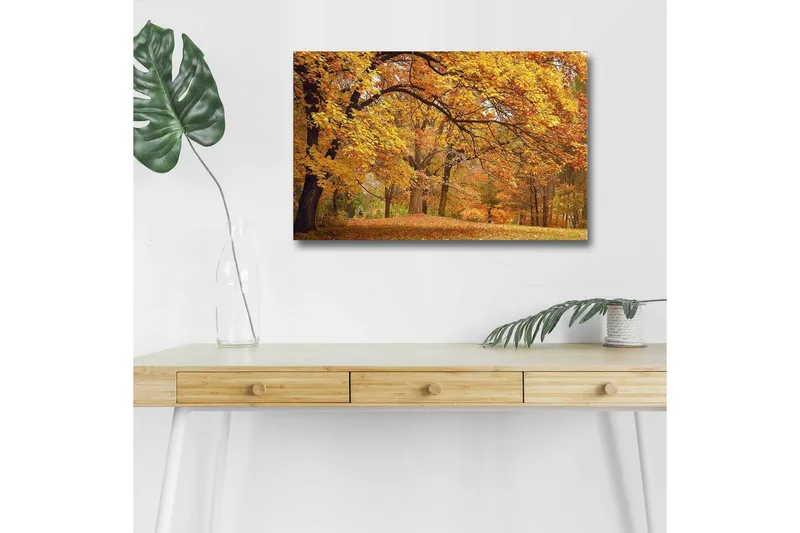 Canvastavla med LED-belysning - Vacker höstlandskap med gyllene och orangea lövträd, Guld / Orange / Brun