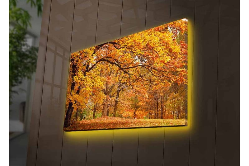 Canvastavla med LED-belysning - Vacker höstlandskap med gyllene och orangea lövträd - Guld / Orange / Brun - Inredning - Tavlor & konst - Canvastavlor