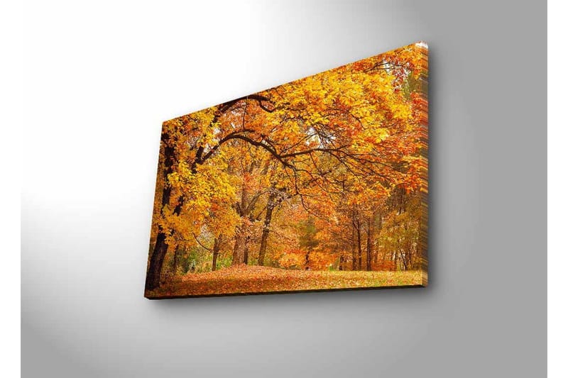 Canvastavla med LED-belysning - Vacker höstlandskap med gyllene och orangea lövträd - Guld / Orange / Brun - Inredning - Tavlor & konst - Canvastavlor