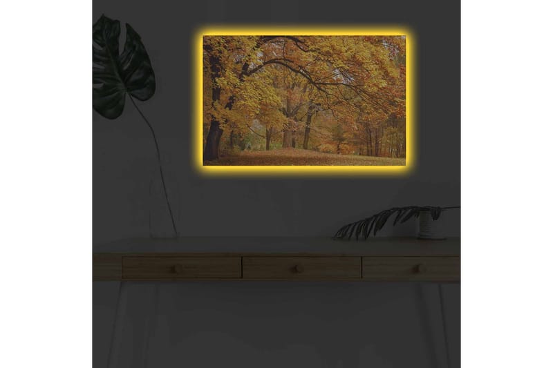 Canvastavla med LED-belysning - Vacker höstlandskap med gyllene och orangea lövträd - Guld / Orange / Brun - Inredning - Tavlor & konst - Canvastavlor