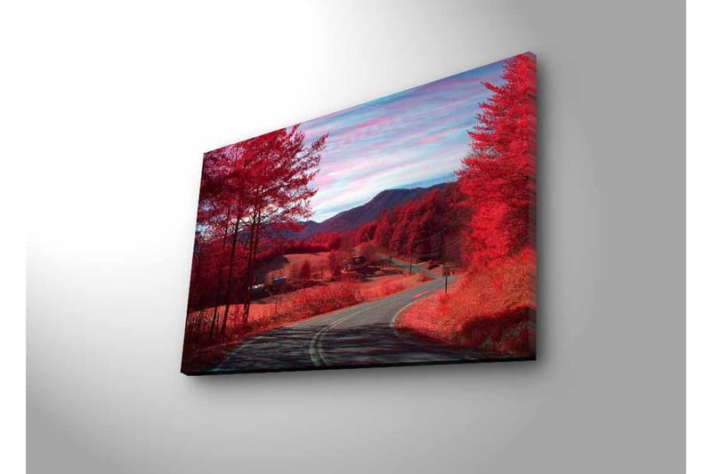 Canvastavla med LED-belysning - Vacker landskapsvy med röda träd och en slingrande väg - Röd / Grå / Blå - Inredning - Tavlor & konst - Canvastavlor