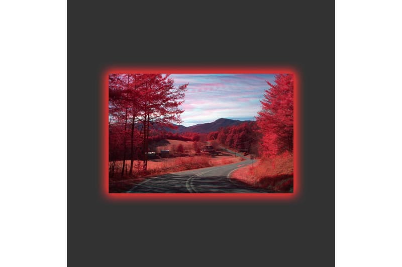 Canvastavla med LED-belysning - Vacker landskapsvy med röda träd och en slingrande väg - Röd / Mörkröd - Inredning - Tavlor & konst - Canvastavlor