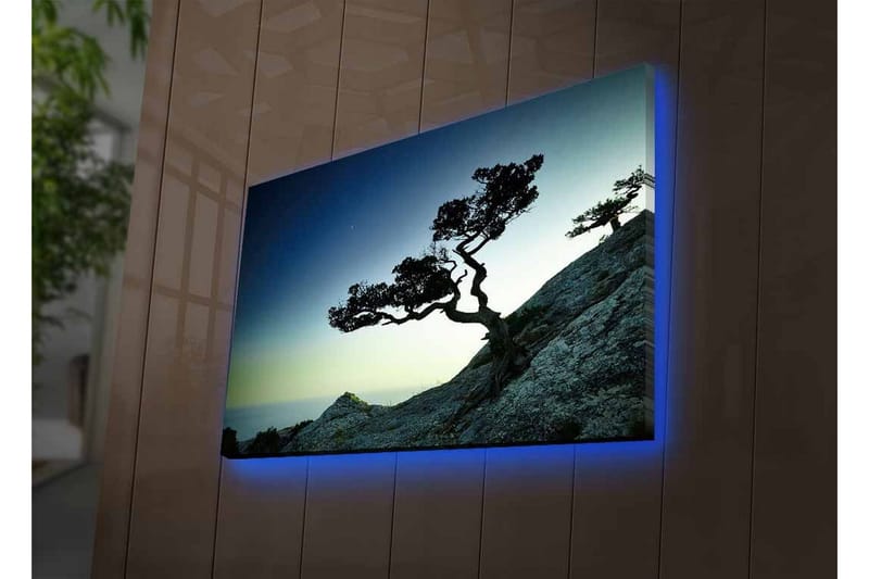 Canvastavla med LED-belysning - Vacker silhuett av ett vindpinat träd på en klippa vid skymning - Mörkgrön / Blå / Ljusgrön - Inredning - Tavlor & konst - Canvastavlor