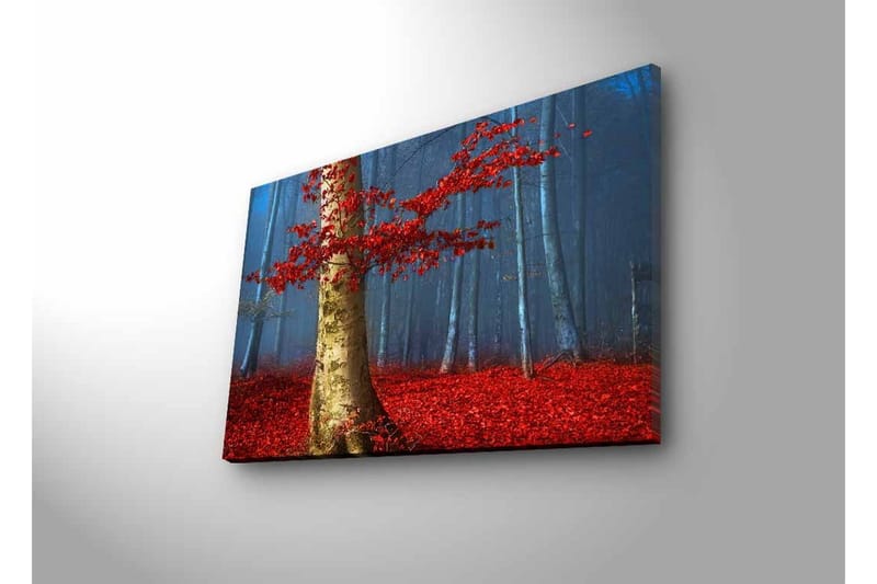 Canvastavla med LED-belysning - Vacker skog med röda höstlöv och en ljus stam i dimma - Röd / Grön / Blå - Inredning - Tavlor & konst - Canvastavlor