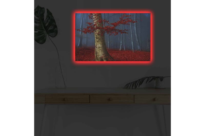Canvastavla med LED-belysning - Vacker skog med röda höstlöv och en ljus stam i dimma - Röd / Grön / Blå - Inredning - Tavlor & konst - Canvastavlor