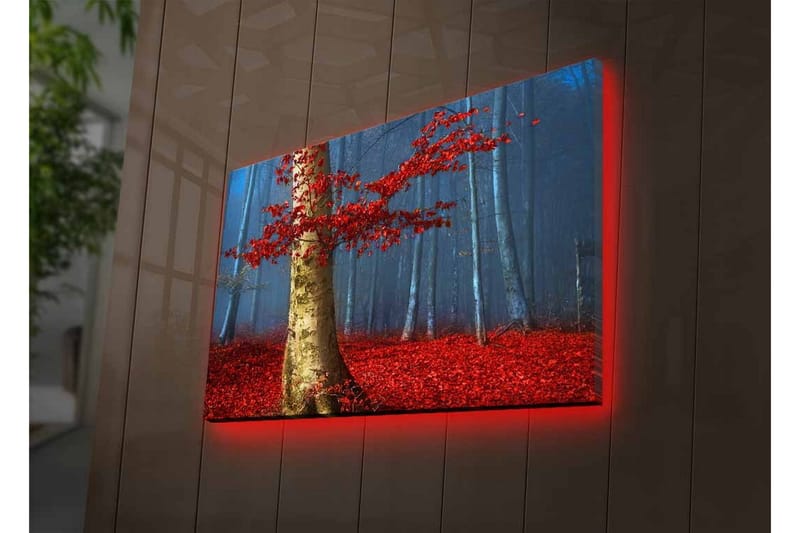 Canvastavla med LED-belysning - Vacker skog med röda höstlöv och en ljus stam i dimma - Röd / Grön / Blå - Inredning - Tavlor & konst - Canvastavlor