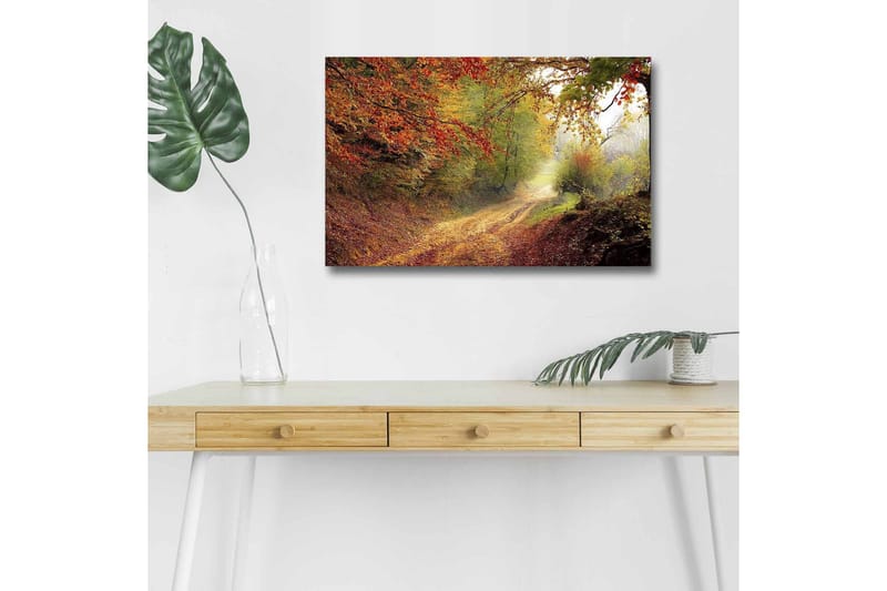 Canvastavla med LED-belysning - Vacker skogsväg omgiven av höstfärger, Röd / Grön / Brun