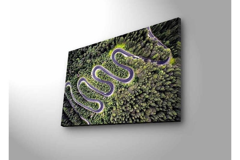 Canvastavla med LED-belysning - Vacker vy av en slingrande väg genom tät grönskande skog - Grön / Grå / Svart - Inredning - Tavlor & konst - Canvastavlor