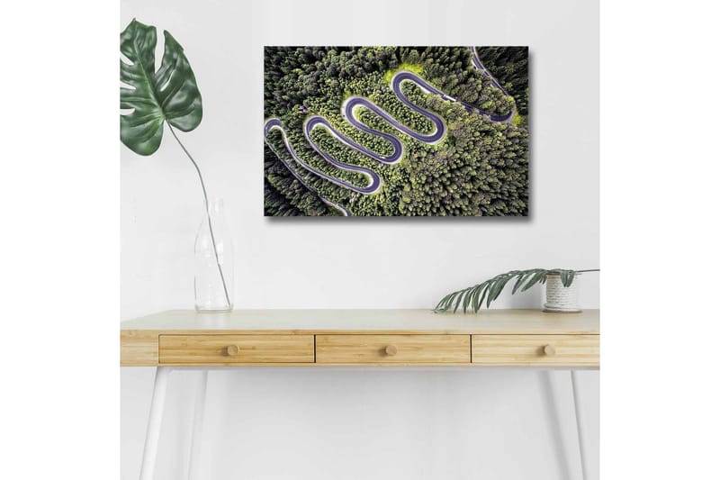 Canvastavla med LED-belysning - Vacker vy av en slingrande väg genom tät grönskande skog - Grön / Grå / Svart - Inredning - Tavlor & konst - Canvastavlor